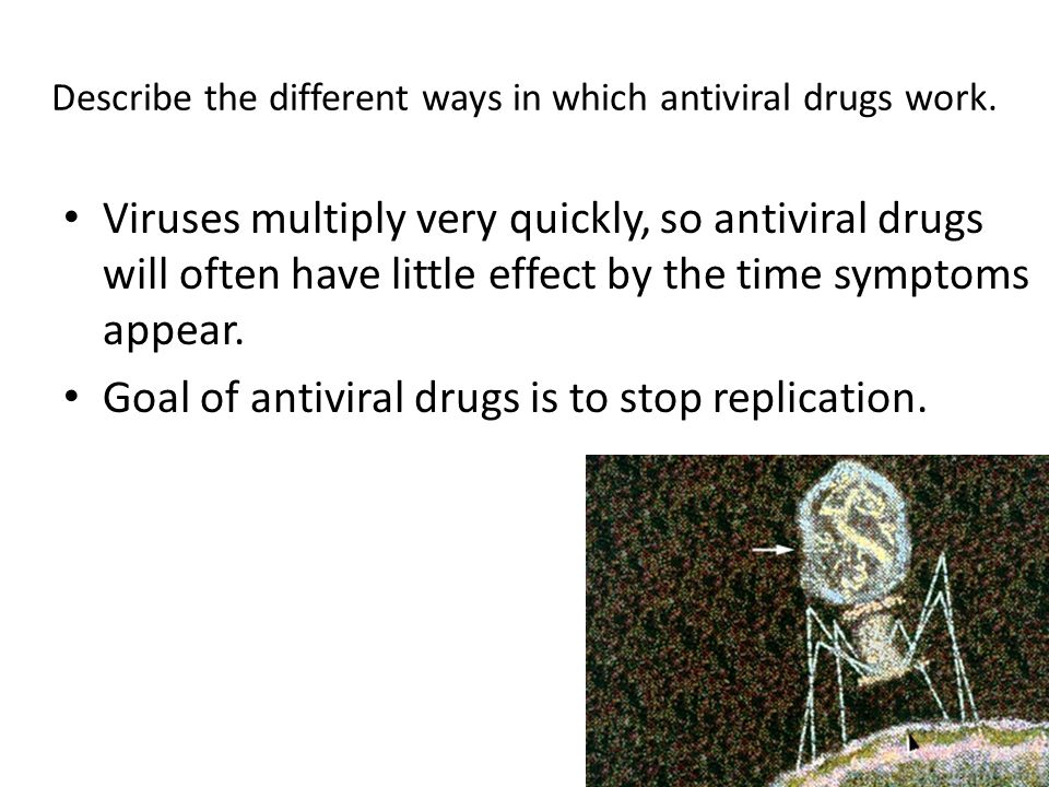 Describe the different ways in which antiviral drugs work.