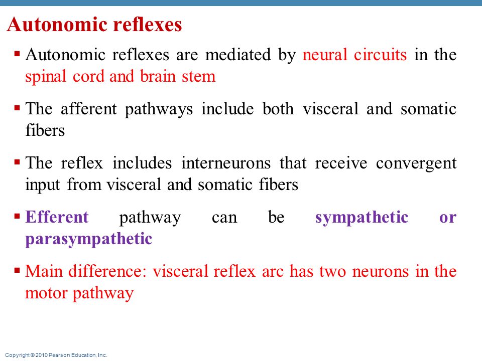 difference between somatic and visceral reflex