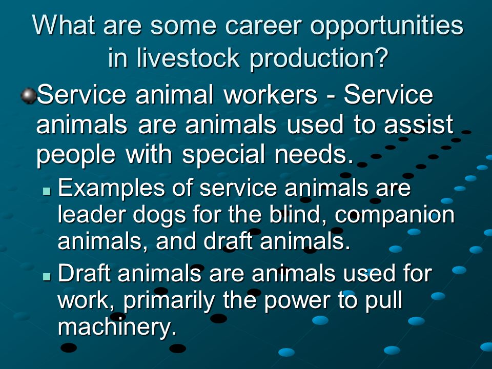 What are some career opportunities in livestock production.