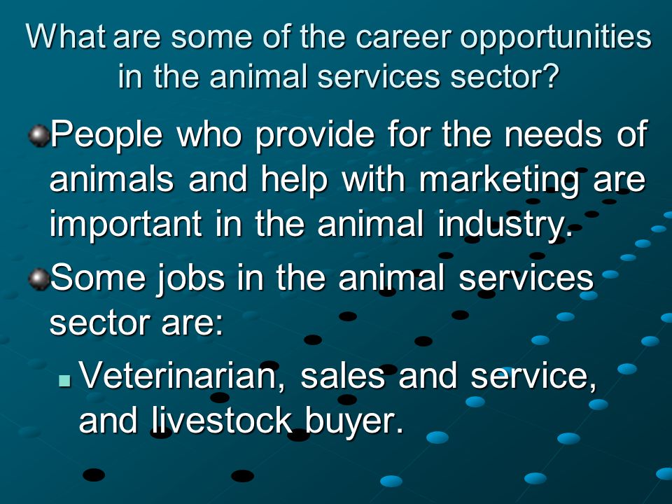 What are some of the career opportunities in the animal services sector.