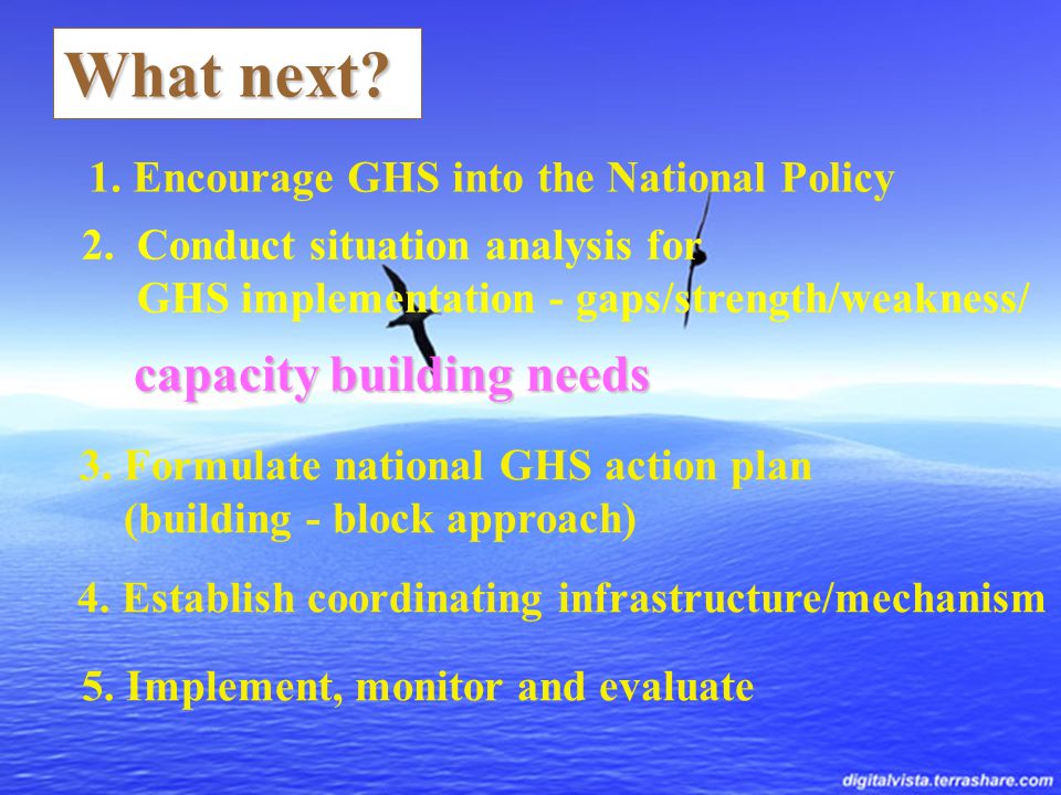 What next. 1. Encourage GHS into the National Policy 2.
