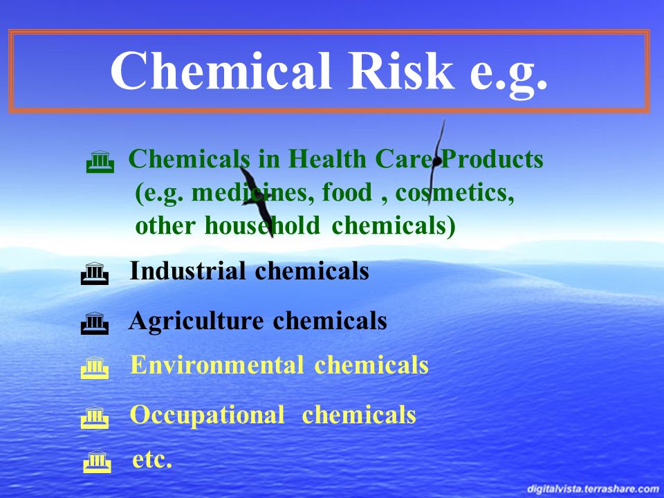 Chemical Risk e.g.  Chemicals in Health Care Products (e.g.