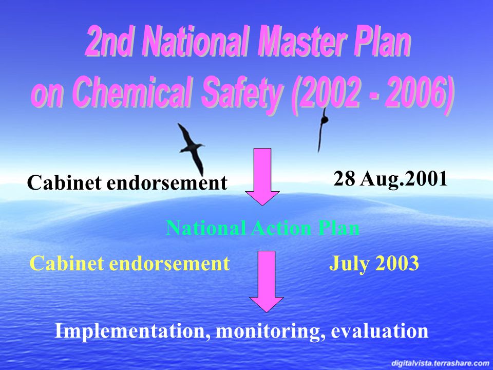 Cabinet endorsement National Action Plan Cabinet endorsement Implementation, monitoring, evaluation 28 Aug.2001 July 2003