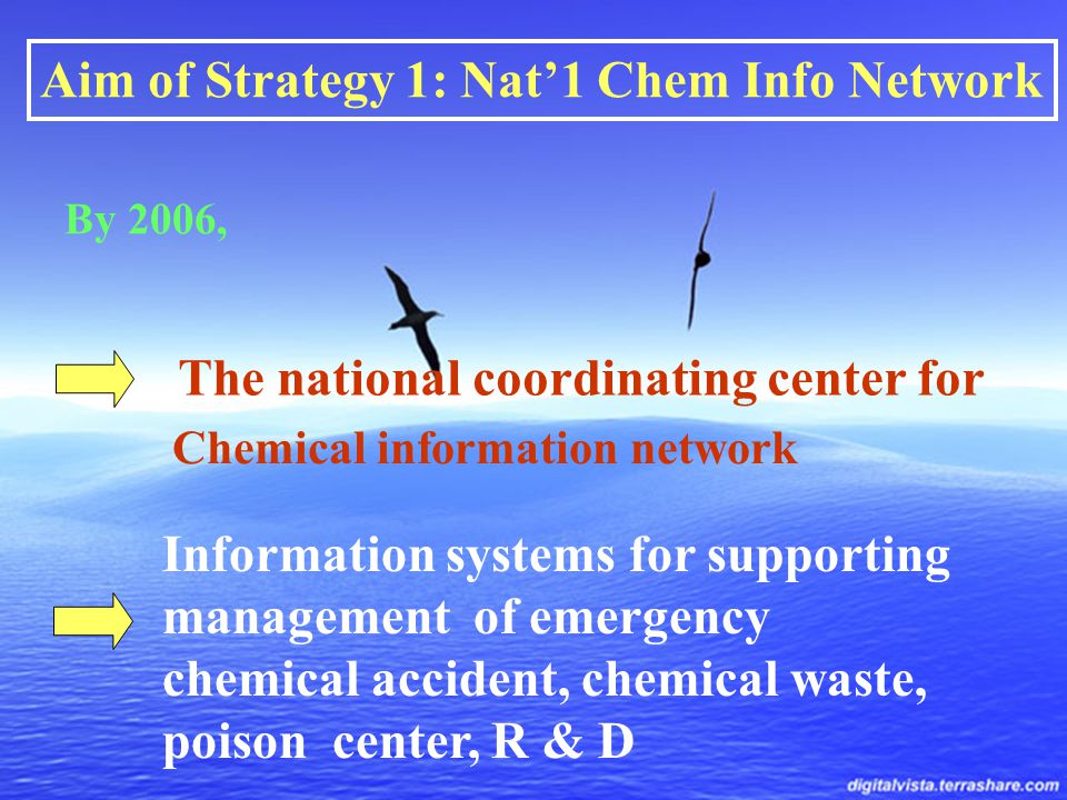 Aim of Strategy 1: Nat’1 Chem Info Network By 2006, The national coordinating center for Chemical information network Information systems for supporting management of emergency chemical accident, chemical waste, poison center, R & D