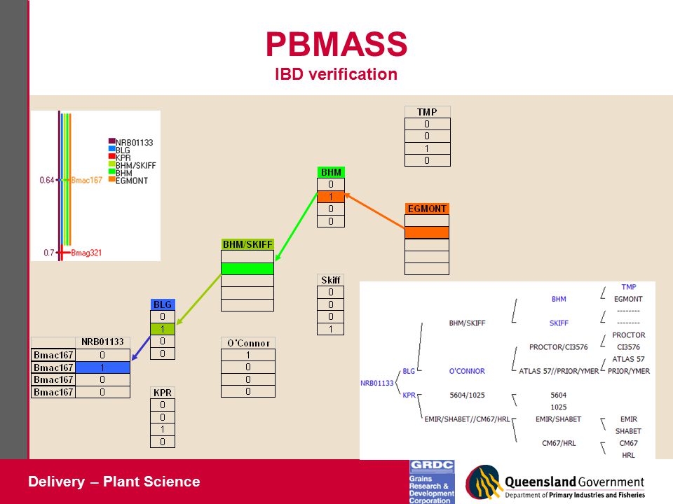 Delivery – Plant Science PBMASS IBD verification