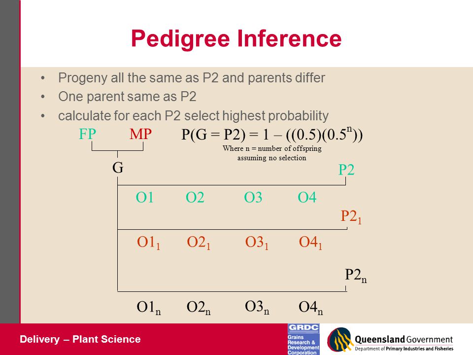 Delivery – Plant Science Pedigree Inference Progeny all the same as P2 and parents differ One parent same as P2 calculate for each P2 select highest probability FPMP G O1O2O3O4 P2 1 P2 O1 1 O2 1 O3 1 O4 1 O1 n O2 n O3 n O4 n P2 n P(G = P2) = 1 – ((0.5)(0.5 n )) Where n = number of offspring assuming no selection