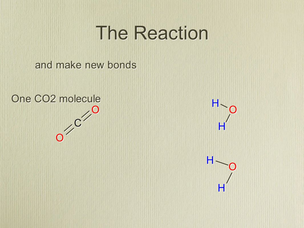 C C H H H H O O O O H H H H O O O O The Reaction and make new bonds One CO2 molecule