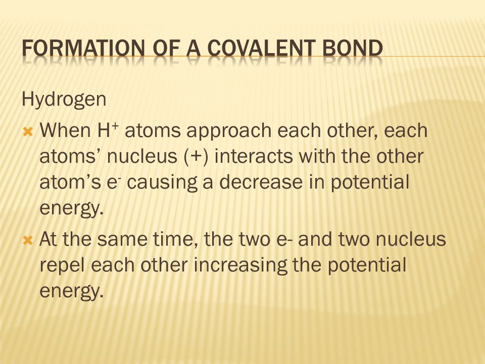 Hydrogen  When H + atoms approach each other, each atoms’ nucleus (+) interacts with the other atom’s e - causing a decrease in potential energy.