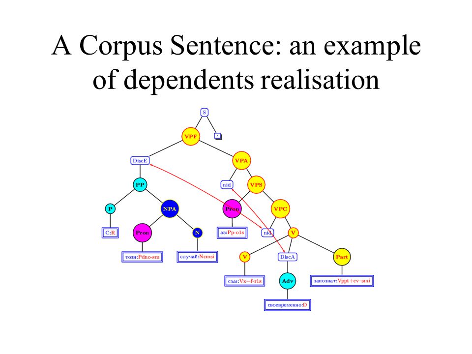 A Corpus Sentence: an example of dependents realisation