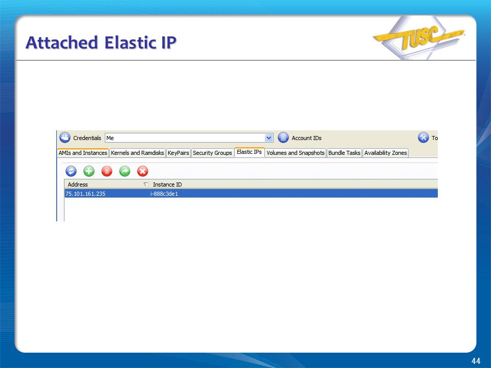 44 Attached Elastic IP