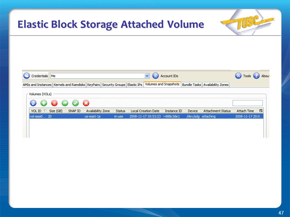 47 Elastic Block Storage Attached Volume