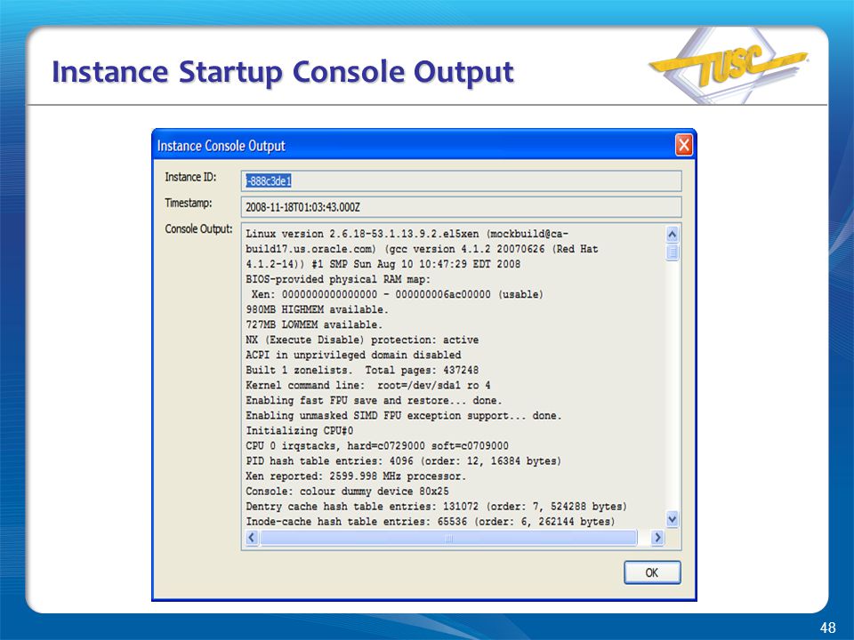 48 Instance Startup Console Output