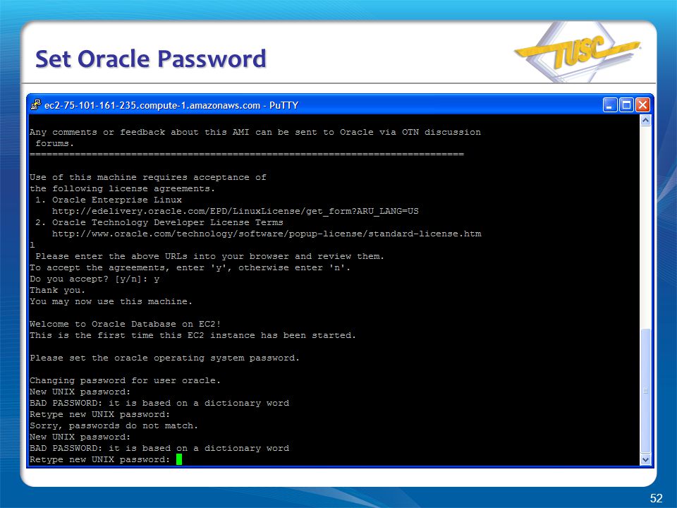 52 Set Oracle Password