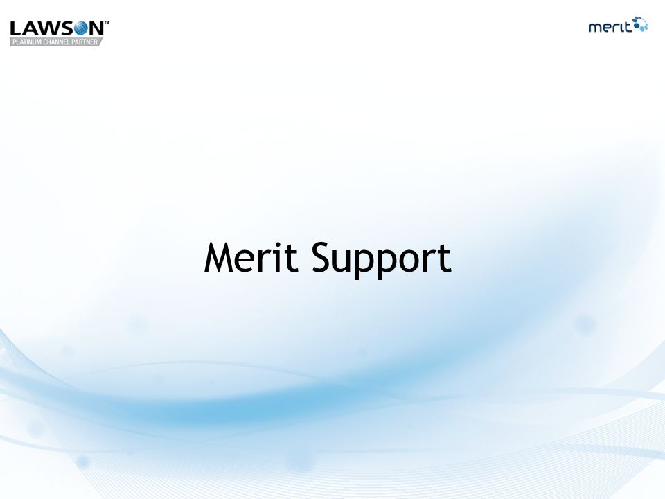 Merit Support