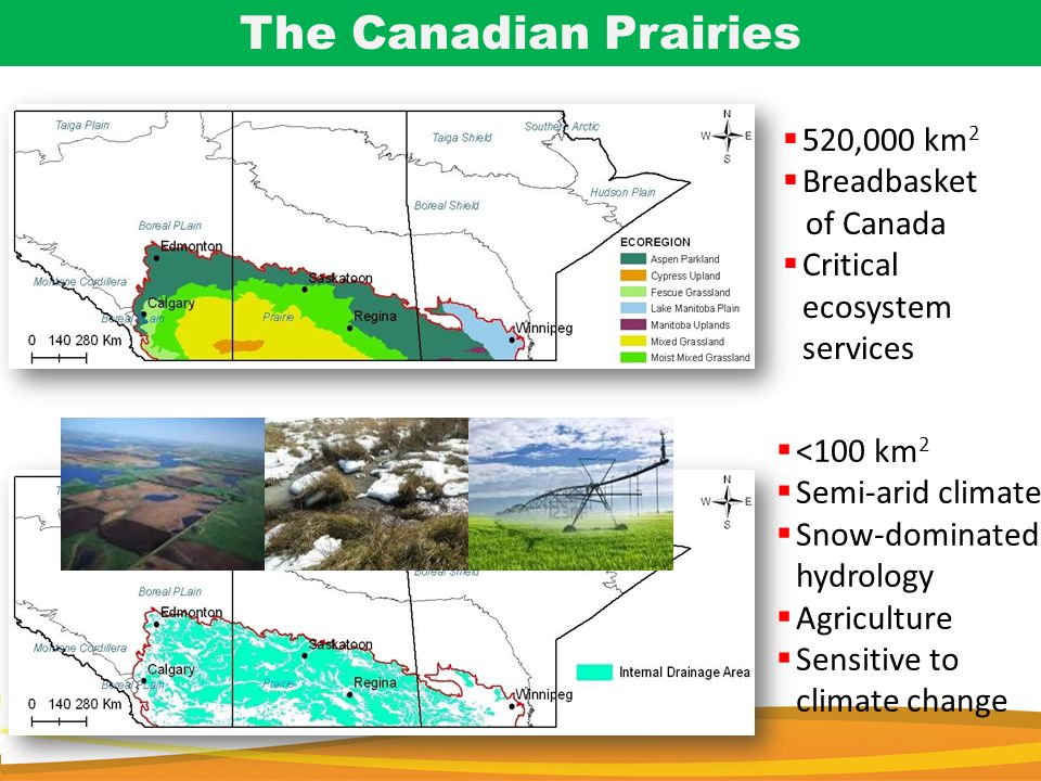 The Canadian Prairies  520,000 km 2  Breadbasket of Canada  Critical ecosystem services  <100 km 2  Semi-arid climate  Snow-dominated hydrology  Agriculture  Sensitive to climate change
