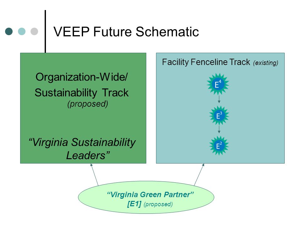 Facility Fenceline Track (existing) Virginia Green Partner [E1] (proposed) Organization-Wide/ Sustainability Track (proposed) Virginia Sustainability Leaders VEEP Future Schematic