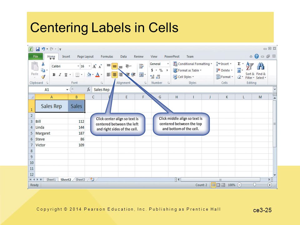 ce3-25 Centering Labels in Cells Copyright © 2014 Pearson Education, Inc.