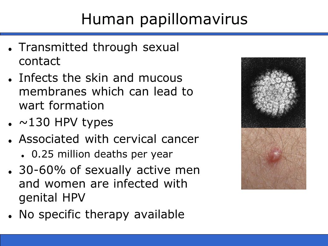 humán papillomavírus hpv általában 2 adag antal vali méregtelenítés