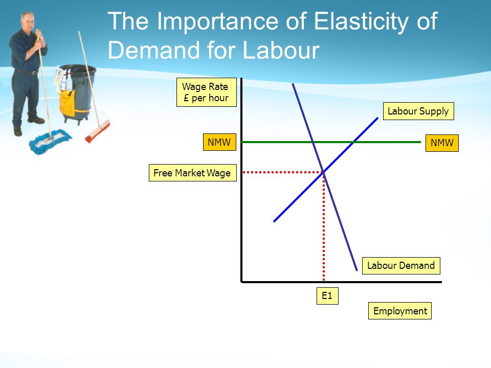 The Importance of Elasticity of Demand for Labour Employment Wage Rate £ per hour Labour Demand Labour Supply Free Market Wage E1 NMW