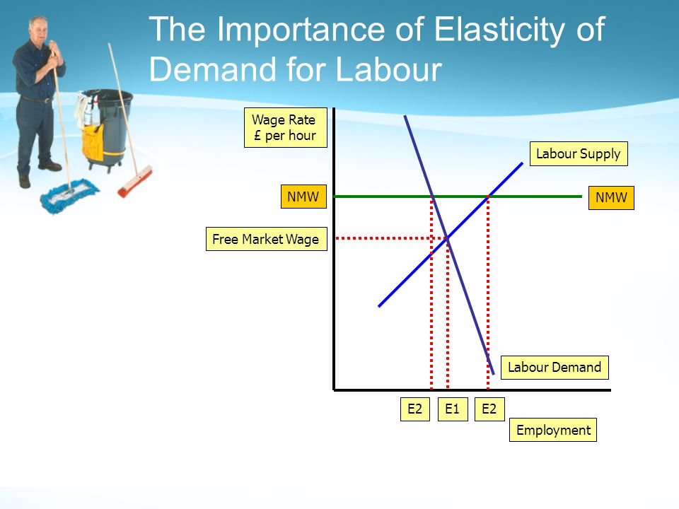 The Importance of Elasticity of Demand for Labour Employment Wage Rate £ per hour Labour Demand Labour Supply Free Market Wage E1 NMW E2