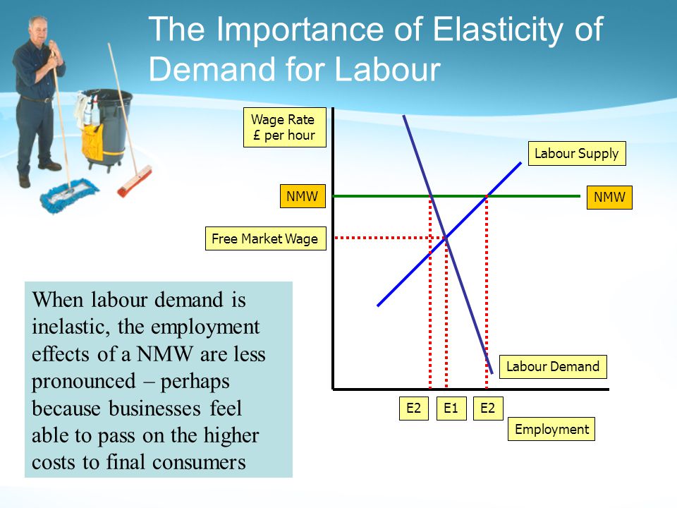 The Importance of Elasticity of Demand for Labour Employment Wage Rate £ per hour Labour Demand Labour Supply Free Market Wage E1 NMW E2 When labour demand is inelastic, the employment effects of a NMW are less pronounced – perhaps because businesses feel able to pass on the higher costs to final consumers