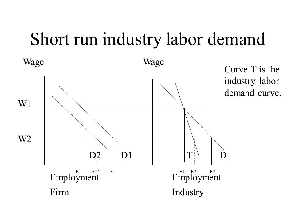 Short-Run Demand Curve