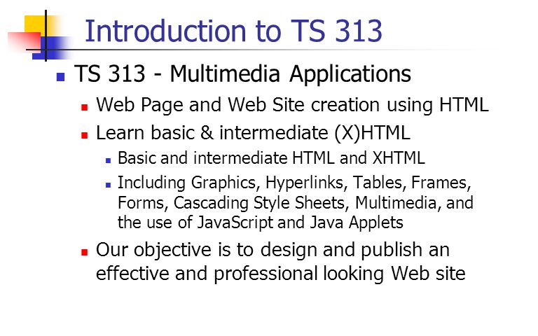 Introduction to TS 313 TS Multimedia Applications Web Page and Web Site creation using HTML Learn basic & intermediate (X)HTML Basic and intermediate HTML and XHTML Including Graphics, Hyperlinks, Tables, Frames, Forms, Cascading Style Sheets, Multimedia, and the use of JavaScript and Java Applets Our objective is to design and publish an effective and professional looking Web site