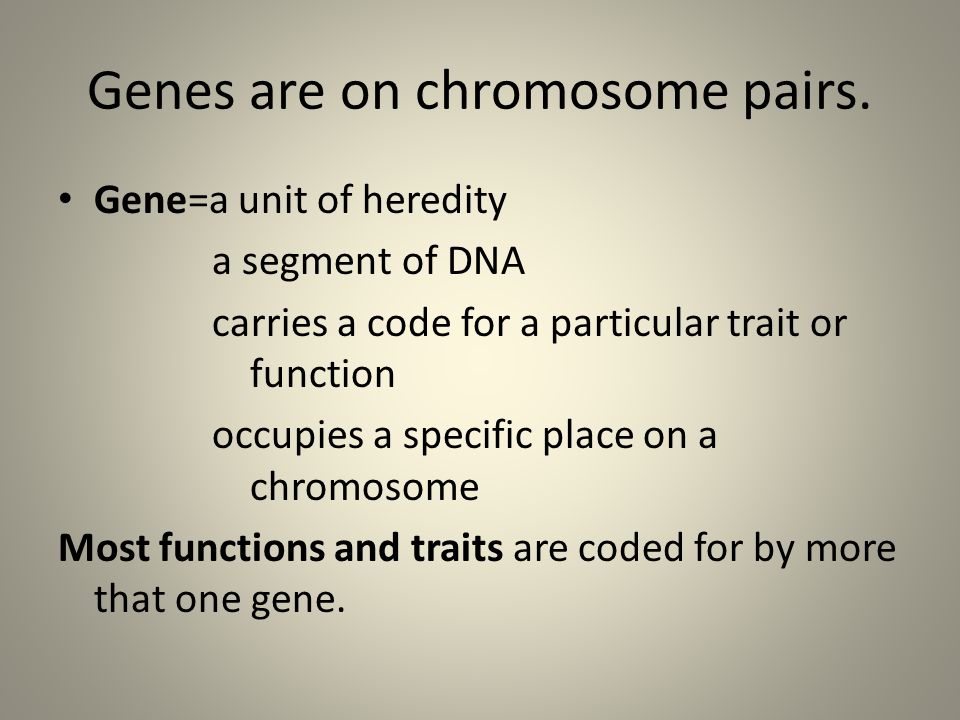 Genes are on chromosome pairs.