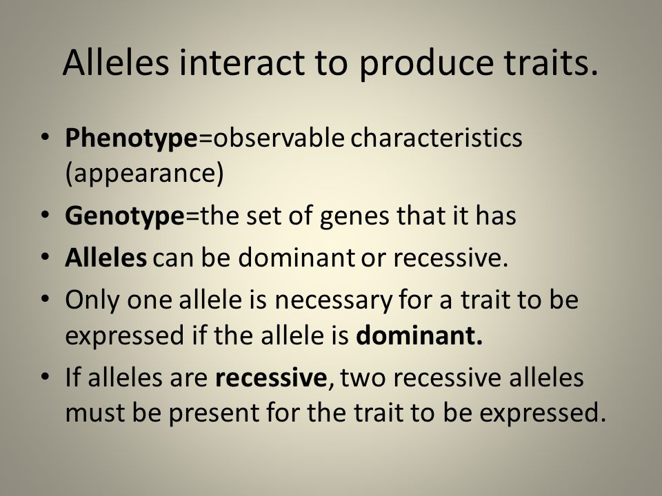 Alleles interact to produce traits.