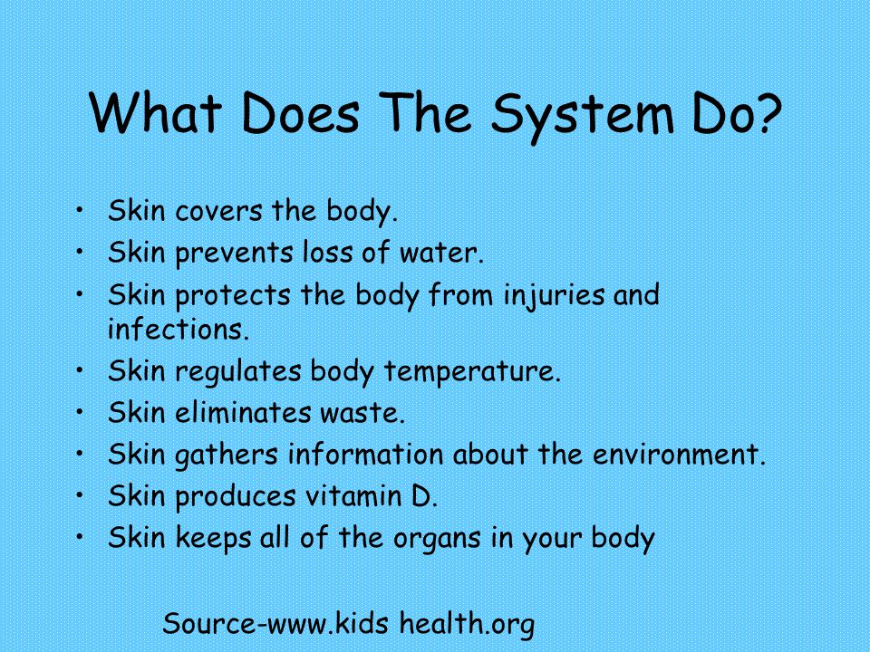 Integumentary System Catie Rose And Maria What Does The System Do Skin Covers The Body Skin Prevents Loss Of Water Skin Protects The Body From Injuries Ppt Download