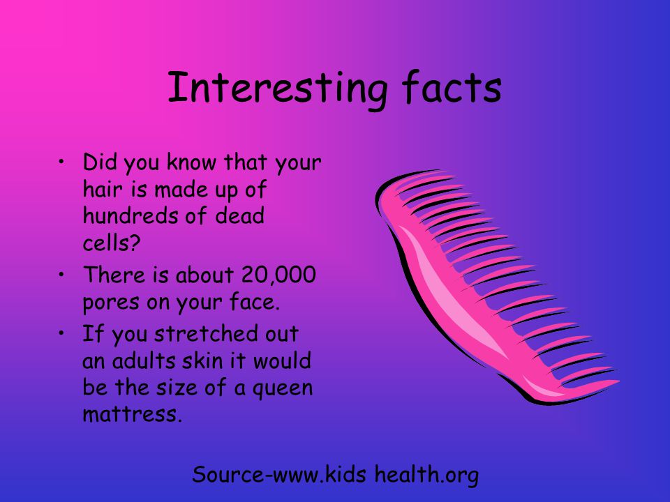 Integumentary System Catie Rose And Maria What Does The System Do Skin Covers The Body Skin Prevents Loss Of Water Skin Protects The Body From Injuries Ppt Download