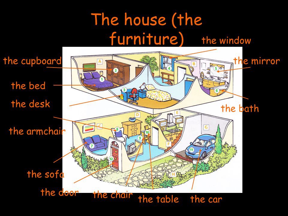 The house (the rooms) a bedroom a bathroom a living room a dining room a kitchen a garage stairs a garden