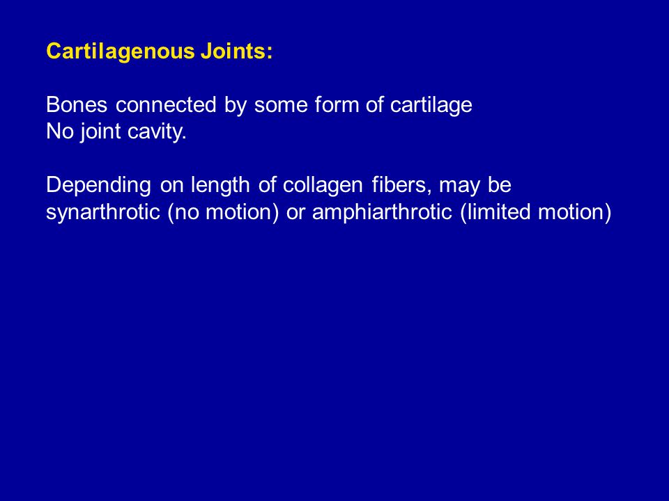 Cartilagenous Joints: Bones connected by some form of cartilage No joint cavity.