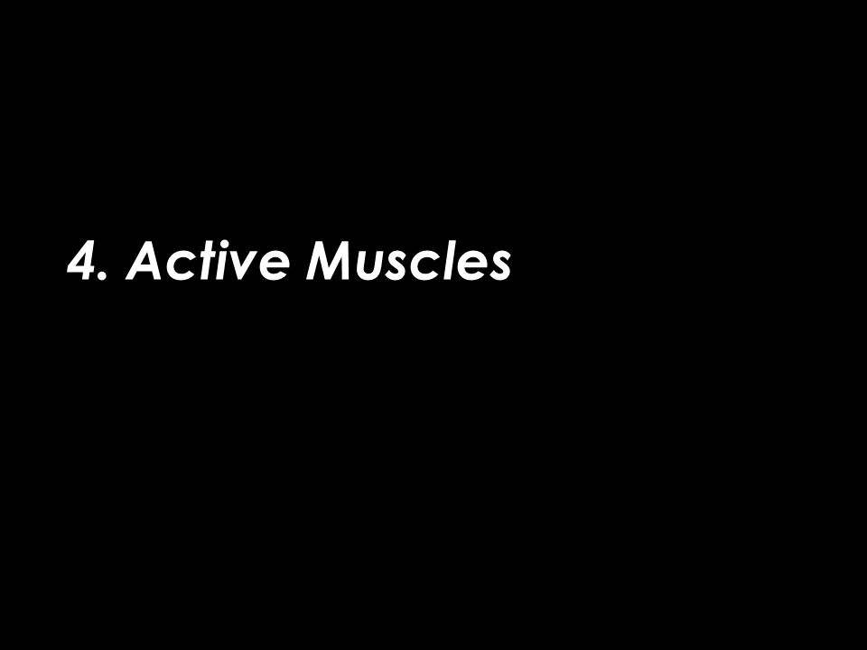 4. Active Muscles