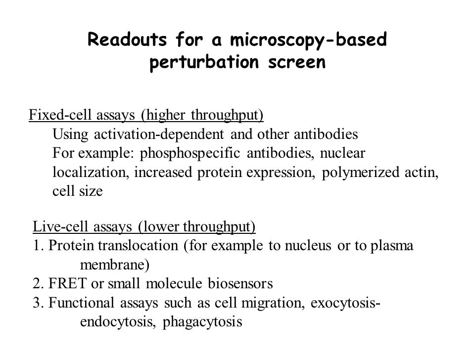 Readouts for a microscopy-based perturbation screen Fixed-cell assays (higher throughput) Using activation-dependent and other antibodies For example: phosphospecific antibodies, nuclear localization, increased protein expression, polymerized actin, cell size Live-cell assays (lower throughput) 1.