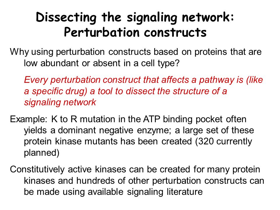 Dissecting the signaling network: Perturbation constructs Why using perturbation constructs based on proteins that are low abundant or absent in a cell type.