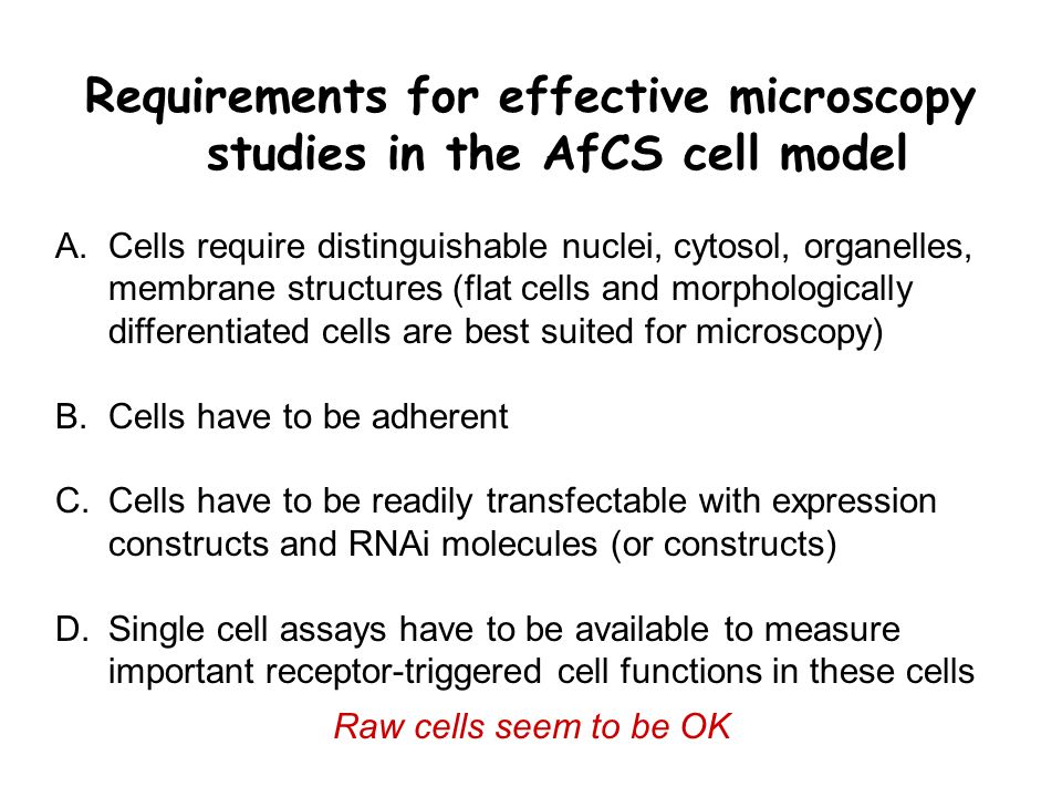 Requirements for effective microscopy studies in the AfCS cell model A.Cells require distinguishable nuclei, cytosol, organelles, membrane structures (flat cells and morphologically differentiated cells are best suited for microscopy) B.Cells have to be adherent C.Cells have to be readily transfectable with expression constructs and RNAi molecules (or constructs) D.Single cell assays have to be available to measure important receptor-triggered cell functions in these cells Raw cells seem to be OK