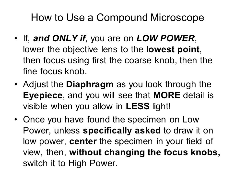 How to Use a Compound Microscope If, and ONLY if, you are on LOW POWER, lower the objective lens to the lowest point, then focus using first the coarse knob, then the fine focus knob.