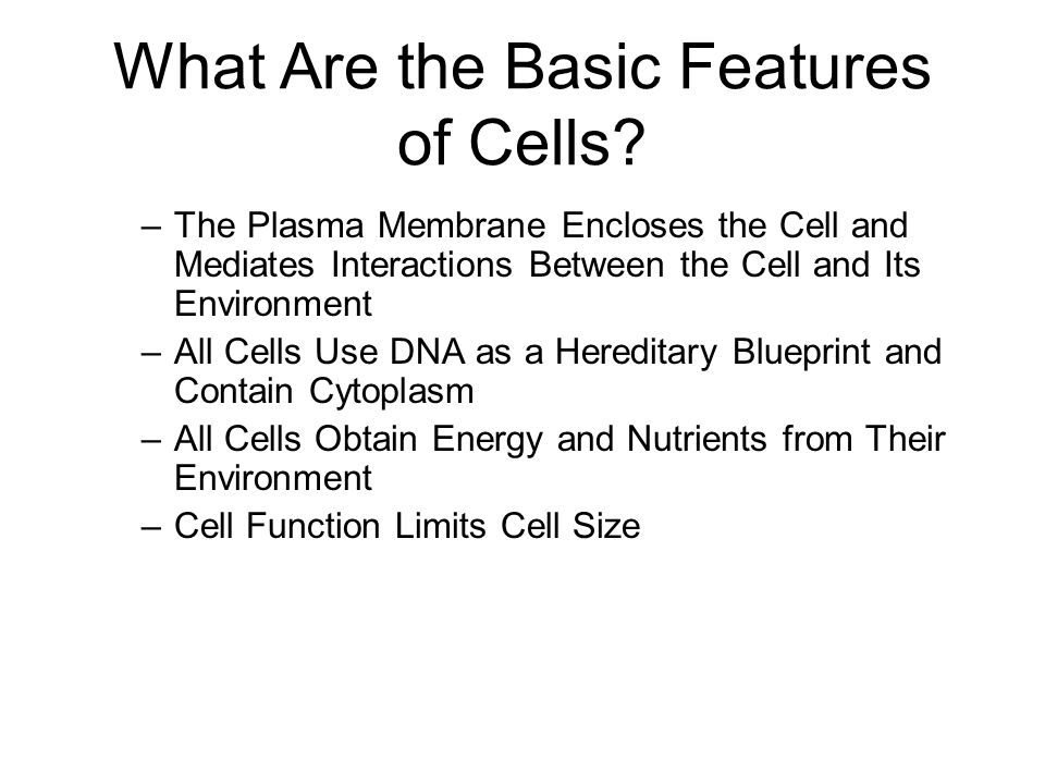 What Are the Basic Features of Cells.