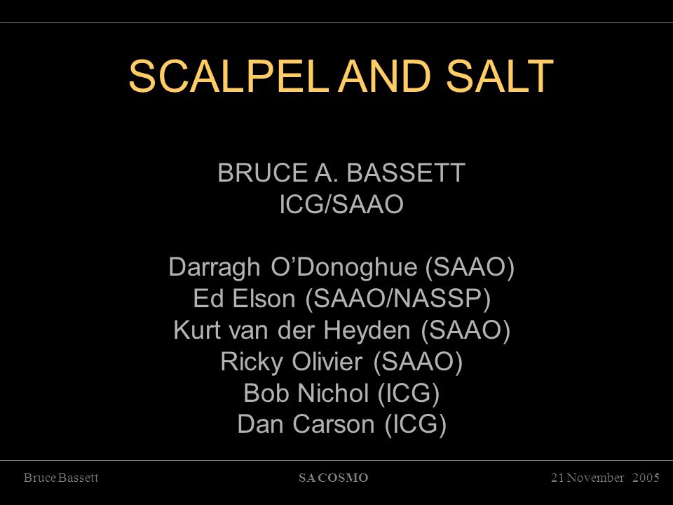 21 November 2005Bruce BassettSA COSMO SCALPEL AND SALT     ’      SCALPEL AND SALT BRUCE A.