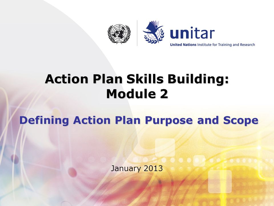 Action Plan Skills Building: Module 2 Defining Action Plan Purpose and Scope January 2013