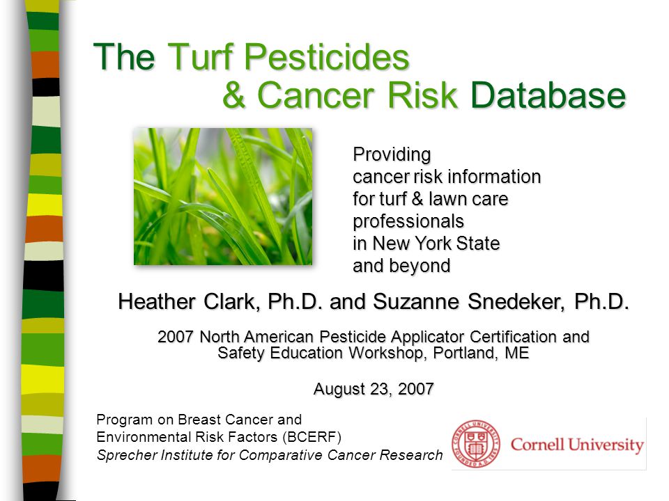 pesticides and breast cancer For your pleasure parties