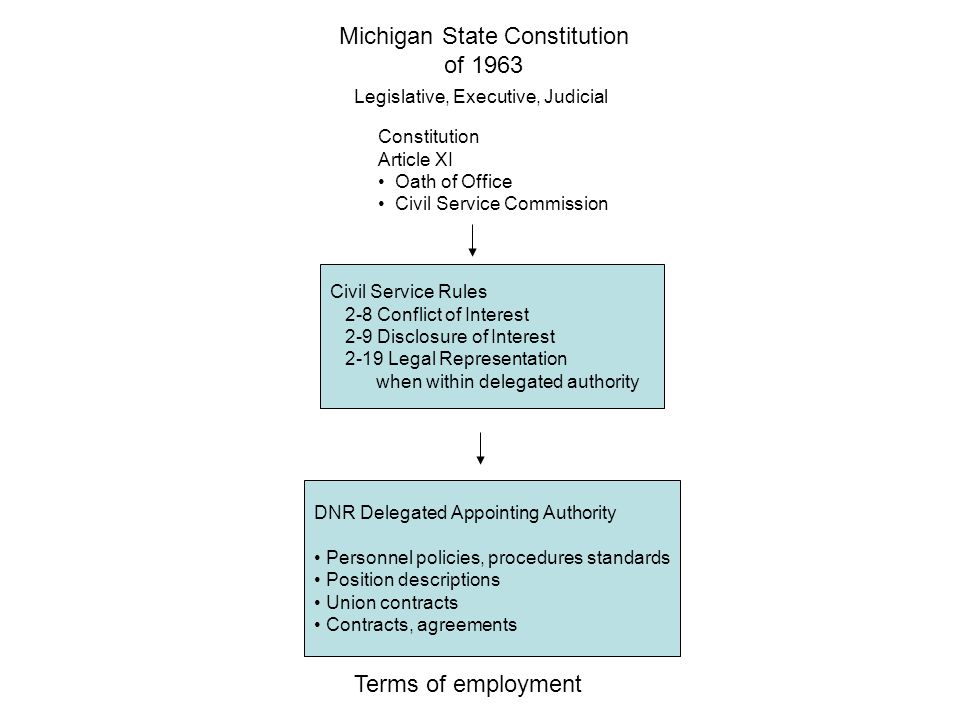 Michigan State Constitution of 1963 Legislative, Executive, Judicial Constitution Article XI Oath of Office Civil Service Commission Civil Service Rules 2-8 Conflict of Interest 2-9 Disclosure of Interest 2-19 Legal Representation when within delegated authority DNR Delegated Appointing Authority Personnel policies, procedures standards Position descriptions Union contracts Contracts, agreements Terms of employment