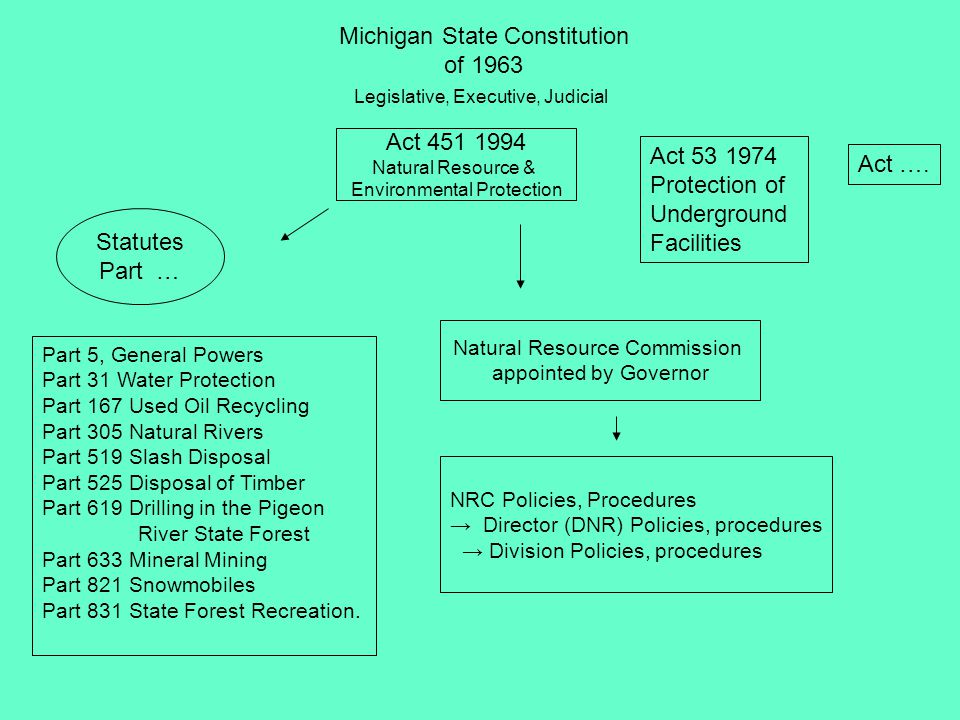 Michigan State Constitution of 1963 Legislative, Executive, Judicial Act Natural Resource & Environmental Protection Statutes Part … Natural Resource Commission appointed by Governor NRC Policies, Procedures → Director (DNR) Policies, procedures → Division Policies, procedures Part 5, General Powers Part 31 Water Protection Part 167 Used Oil Recycling Part 305 Natural Rivers Part 519 Slash Disposal Part 525 Disposal of Timber Part 619 Drilling in the Pigeon River State Forest Part 633 Mineral Mining Part 821 Snowmobiles Part 831 State Forest Recreation.