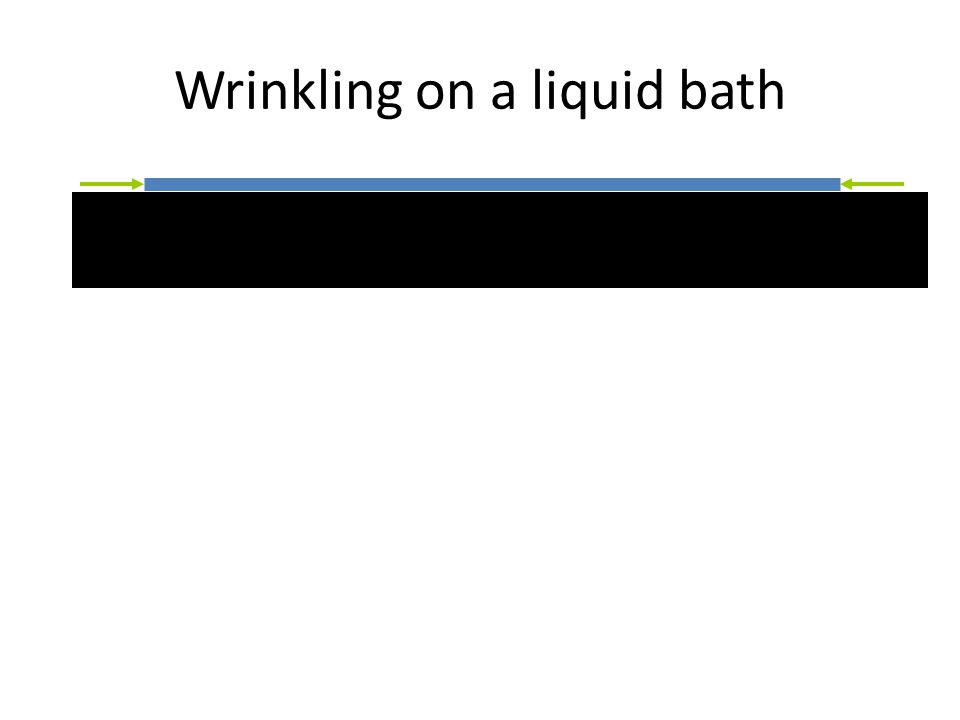 Wrinkling on a liquid bath