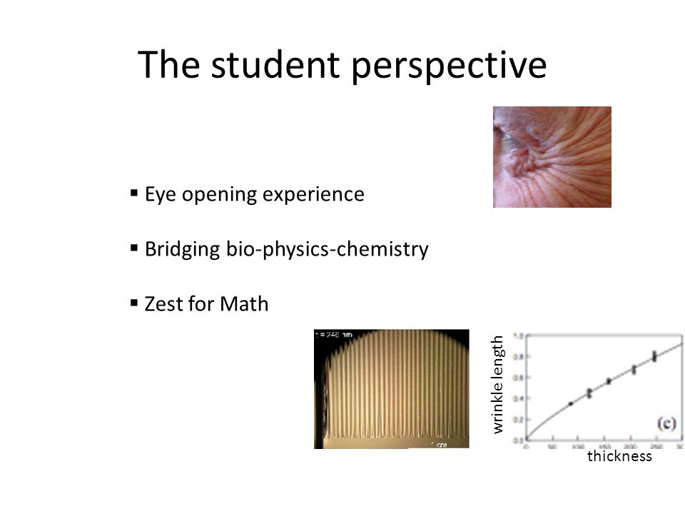 The student perspective  Eye opening experience  Bridging bio-physics-chemistry  Zest for Math thickness wrinkle length