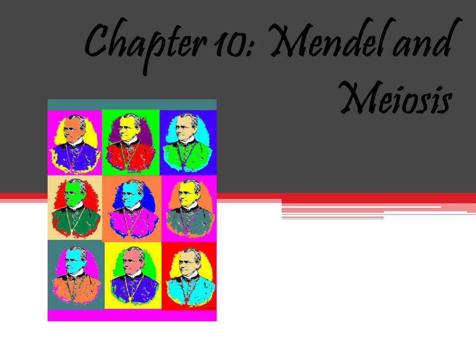 Chapter 10: Mendel and Meiosis September