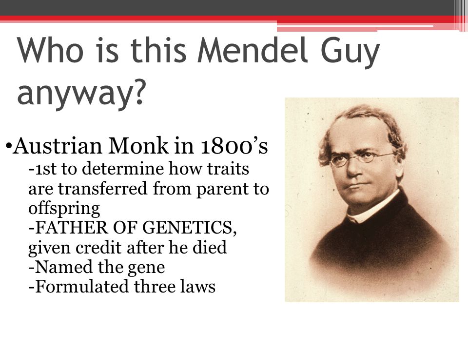 Who is this Mendel Guy anyway.