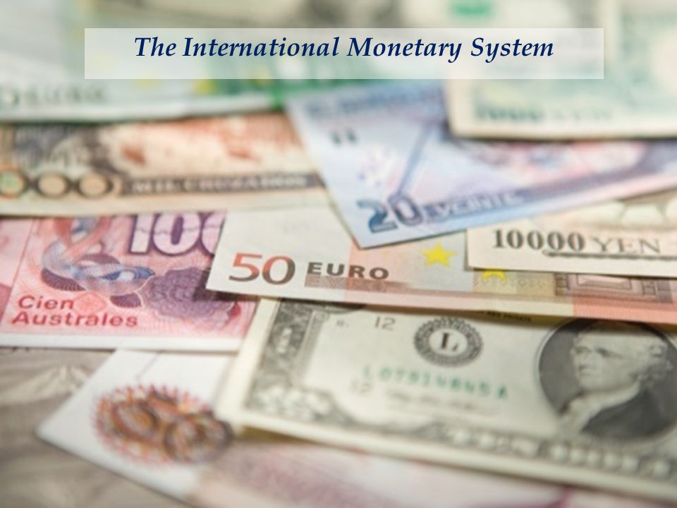 25 The International Monetary System