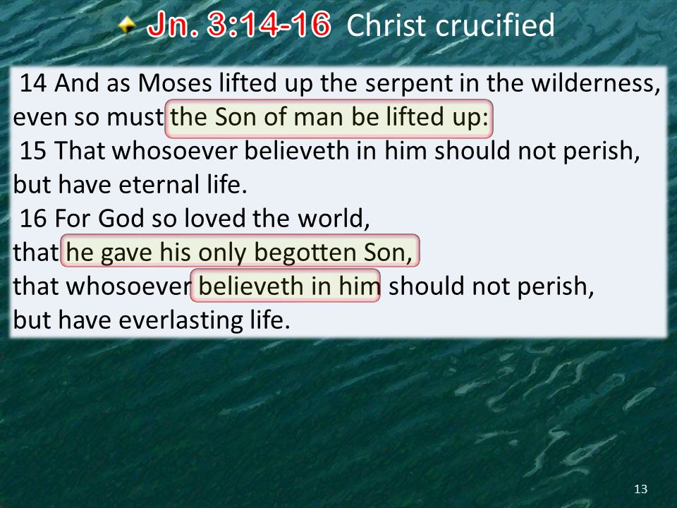 13 14 And as Moses lifted up the serpent in the wilderness, even so must the Son of man be lifted up: 15 That whosoever believeth in him should not perish, but have eternal life.